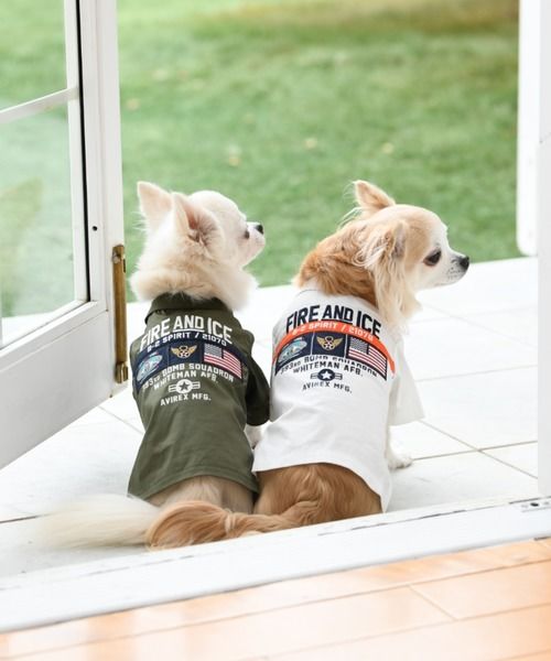 即納】AVIREX ワッペン刺繍がカッコ良い犬服 | un seul dog's STORE