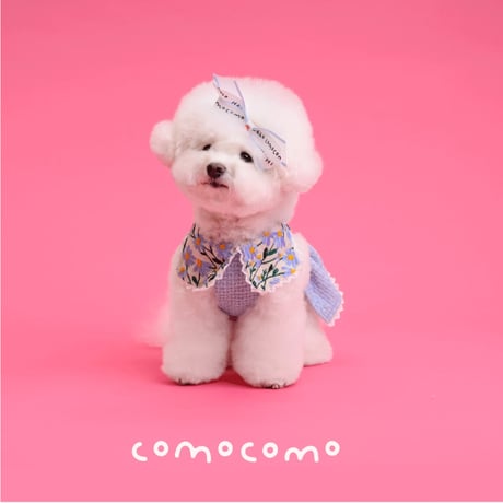 【予約】comocomo...forgarden spring