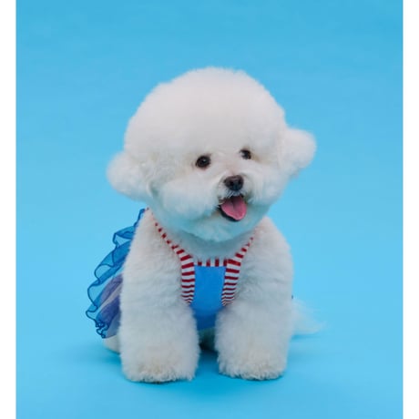 【即納】comocomo...cherry blue