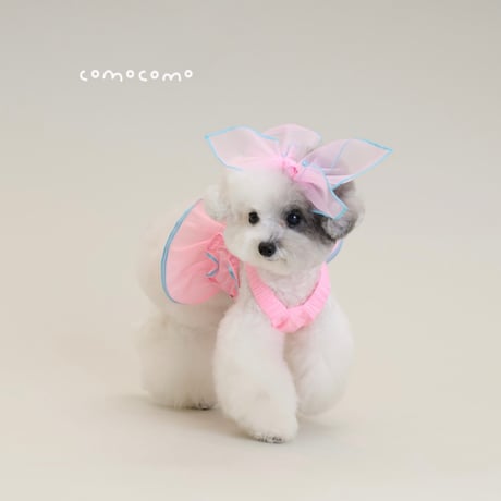 【予約】comocomo...PINK RURU