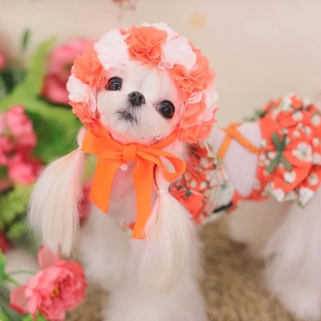 【予約】HAPPYJJANGGU♪ cross bikini flower