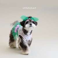 【予約】comocomo...COZY DAILY