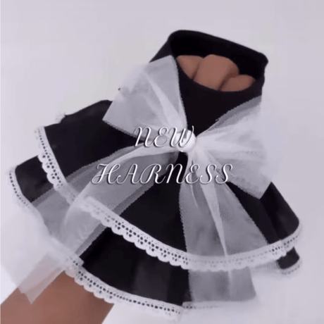 【予約】chicodicha...I-Harness