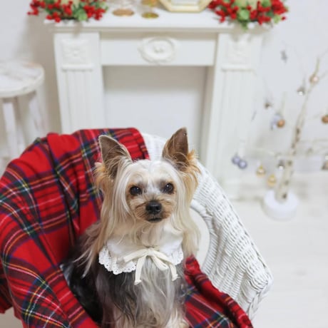 【即納】ZOOBICO...Blanc Vest & Cape