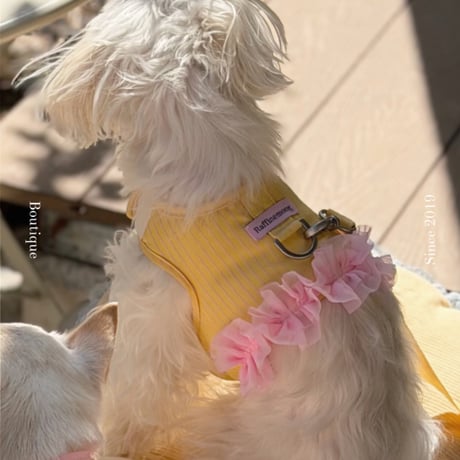 【予約】Raffine Mong ... Peony Harness