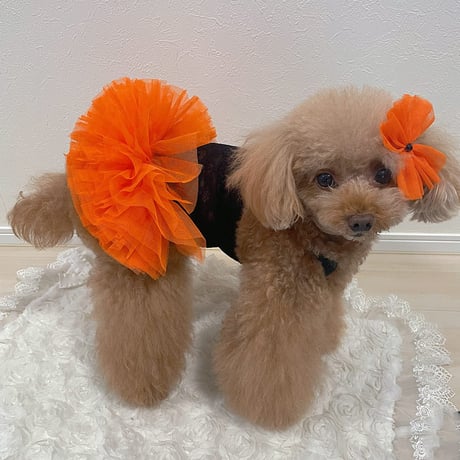 【即納】chicodicha...orange color tutu