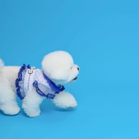 【予約】comocomo... FORGARDEN BLUE