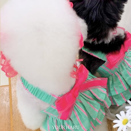 【即納】your haru...Stone Candy green Dress