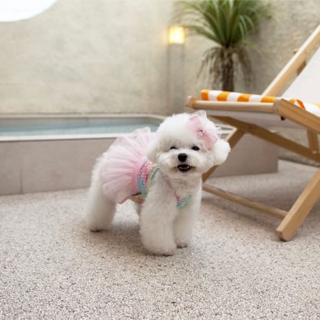 【予約】Coco Chien...Jenna Tutu Bikini Swimwear