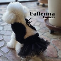 【予約】OHO_boutique...Ballerina Black Harness