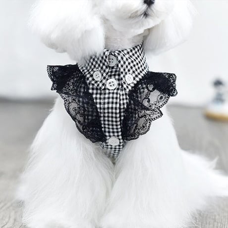【即納】PEEKAPOODLE...モノトーンチェックトップス♡