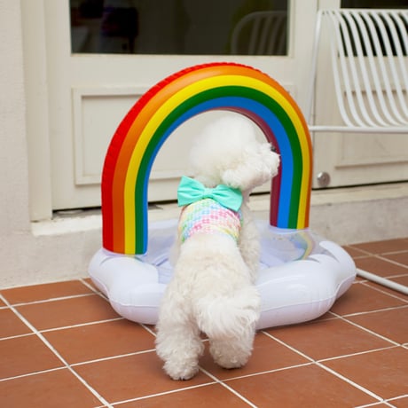 【予約】Coco Chien...Jenna Ribbon Swimwear