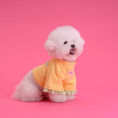 【予約】comocomo...ribonico (yellow ribbon top)