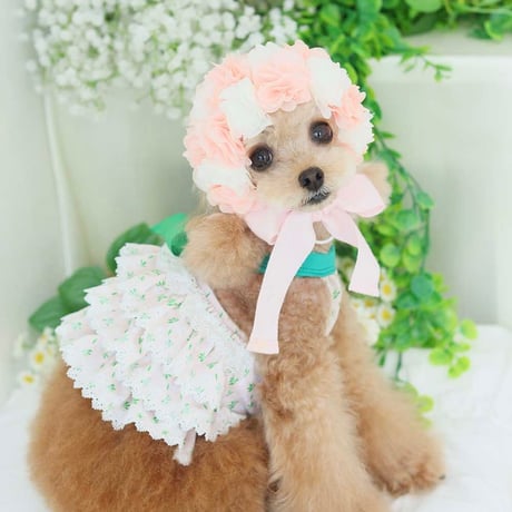 【予約】HAPPYJJANGGU♪ Joyful Mini Small Flower