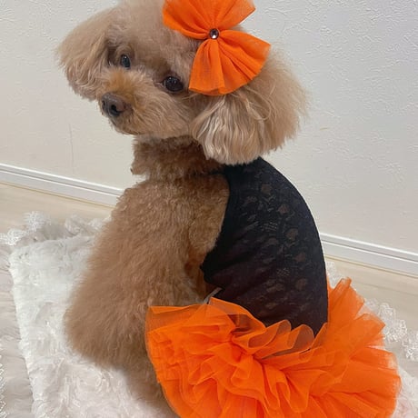 【即納】chicodicha...orange color tutu