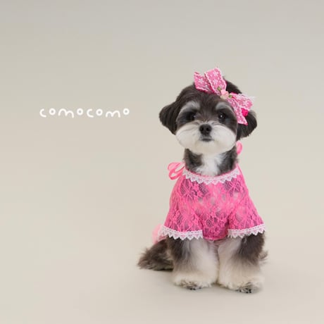 【即納/予約】comocomo...PINK SECRET