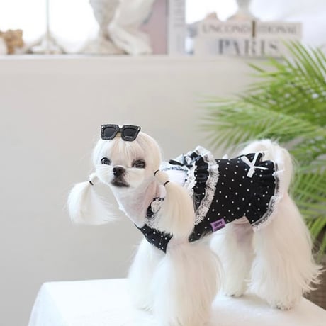 【予約】HAPPYJJANGGU♪ Black Dot Frill Rashguard