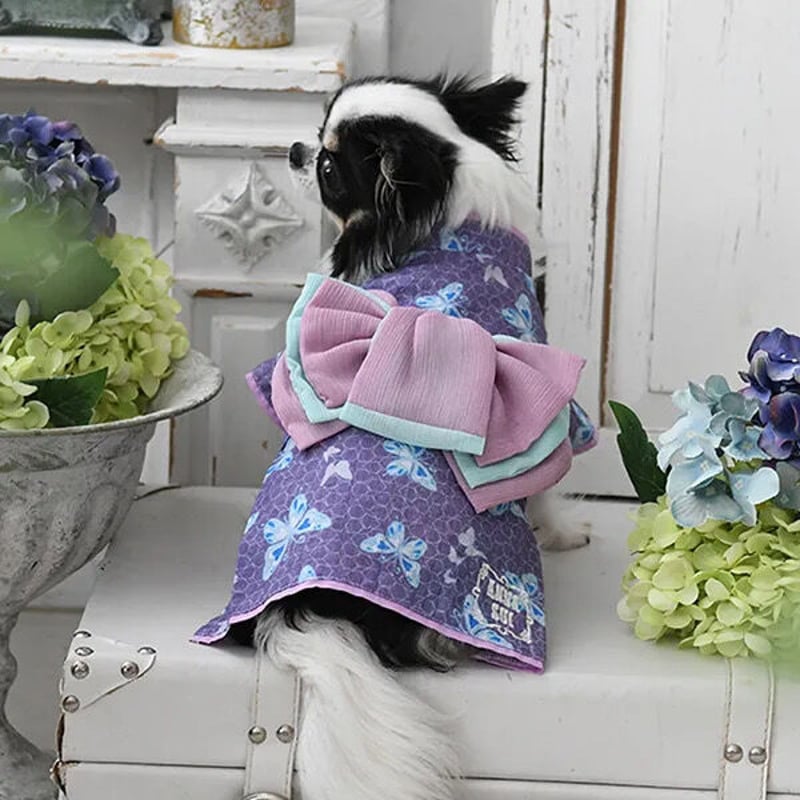 即納】ANNA SUI 蝶デザイン浴衣 (お揃いのシュシュ付き) | un seul dog