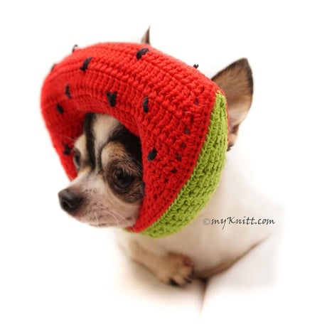 【予約】Myknitt...スイカお帽子🍉