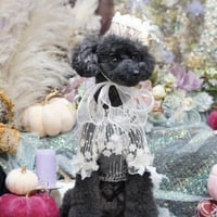 【即納】lace×ribbon tops
