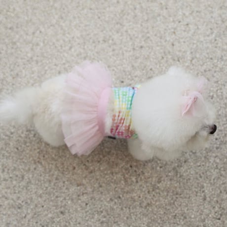 【予約】Coco Chien...Jenna Tutu Bikini Swimwear