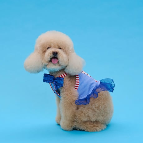 【即納】comocomo...cherry blue
