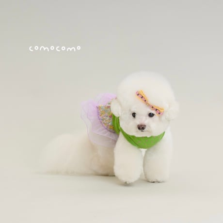 【予約】comocomo...CUP CAKE GREEN