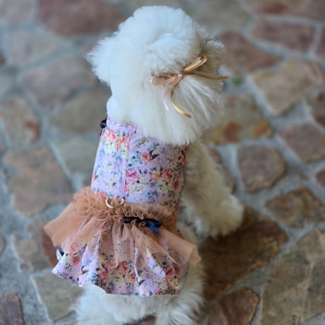 【予約】OHO_boutique...Zakyak Lavender Harness