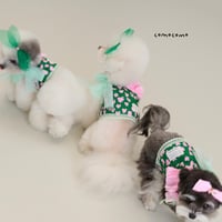 【即納/予約】comocomo...PINK PARTY