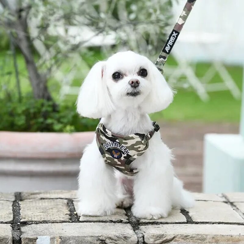 専用　AVIREX 犬　首輪　カラー　カーキ　M Amazon | AVIREX アヴィレックス MA-1スカーフ付きカラー カーキ
