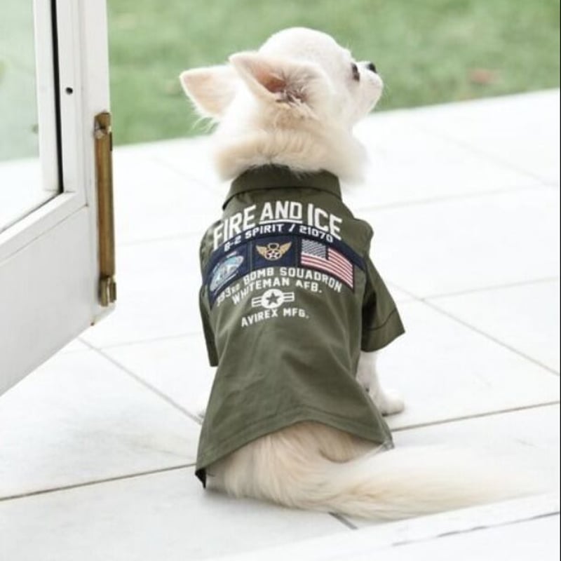 即納】AVIREX ワッペン刺繍がカッコ良い犬服 | un seul dog's STORE
