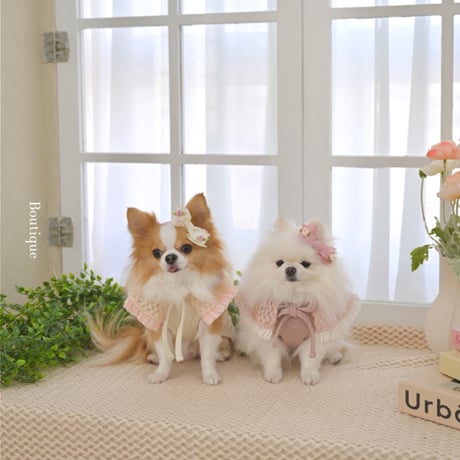 【予約】Raffine Mong ... Le Petit Cape Set