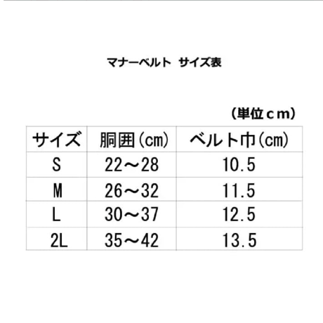 【即納】AVIREX（アヴィレックス）マナーベルト