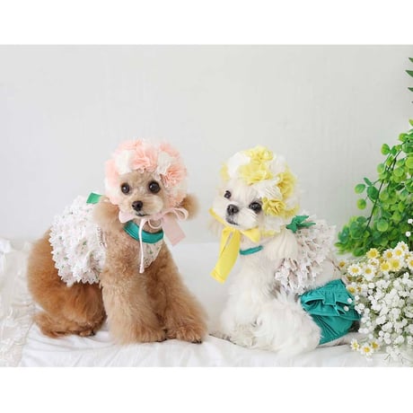 【予約】HAPPYJJANGGU♪ Joyful Mini Small Flower