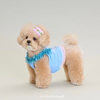 【即納/予約】comocomo...Bam boo