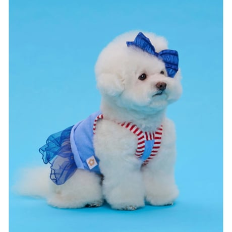 【即納】comocomo...cherry blue