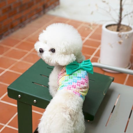【予約】Coco Chien...Jenna Ribbon Swimwear