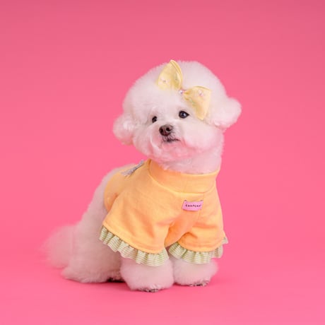 【予約】comocomo...ribonico (yellow ribbon top)