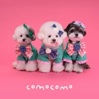 【即納/予約】comocomo...number one t-shirts