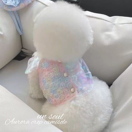 【即納】Aurora crop cami
