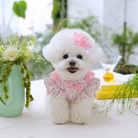 【予約】ilo ilo...Bebe Flower Ts