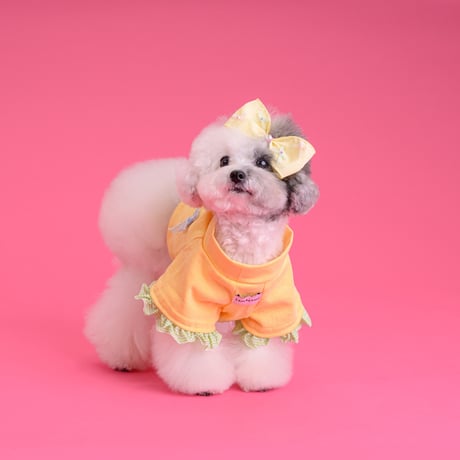 【予約】comocomo...ribonico (yellow ribbon top)