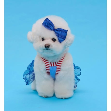 【即納】comocomo...cherry blue