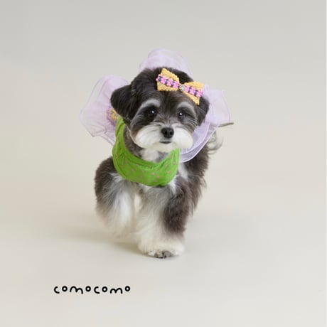 【予約】comocomo...CUP CAKE GREEN
