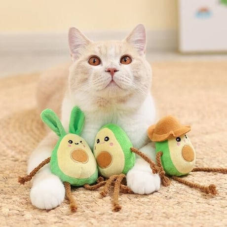 【即納】 Avocado toys🥑