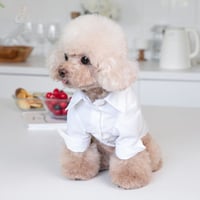 【即納】white shirt