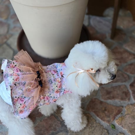 【予約】OHO_boutique...Zakyak Lavender Harness