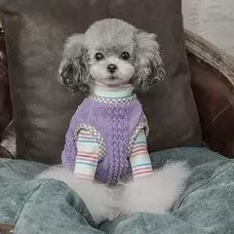 618a4f692b3ca115f04669ca