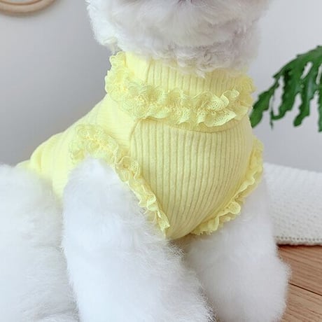 【即納】Vitamin color tops♪