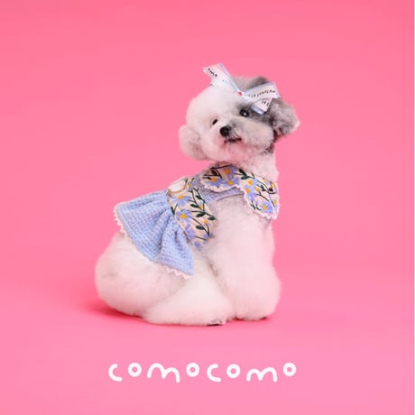 【予約】comocomo...forgarden spring
